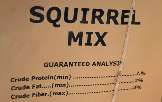 Squirrel Feed