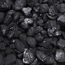 Pea-Nut Coal